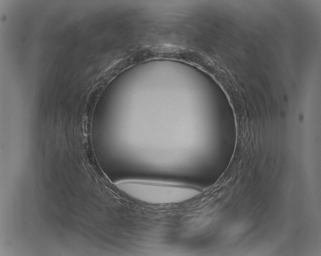 X0000081341301200701111018