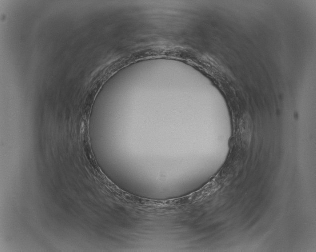 X0000081341302200701111018