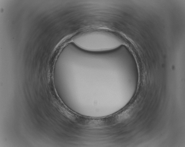X0000081341306200701111018