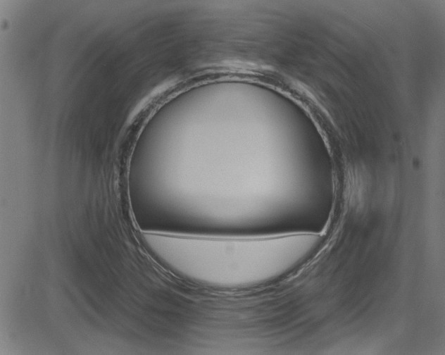 X0000081341307200701111018