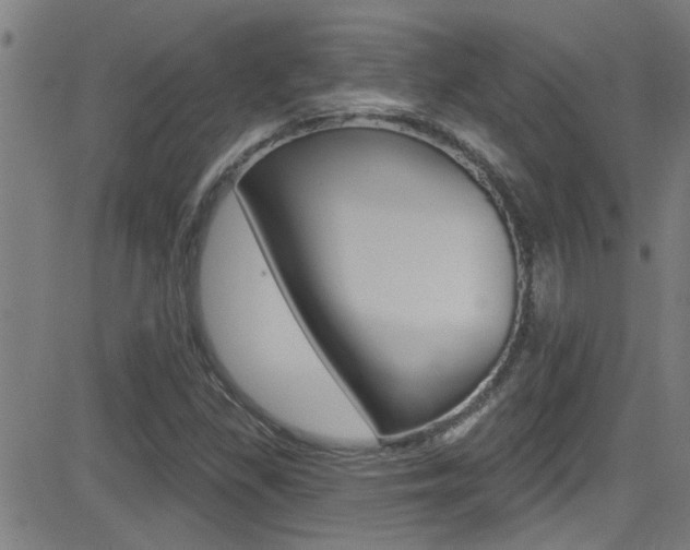 X0000081341309200701111018