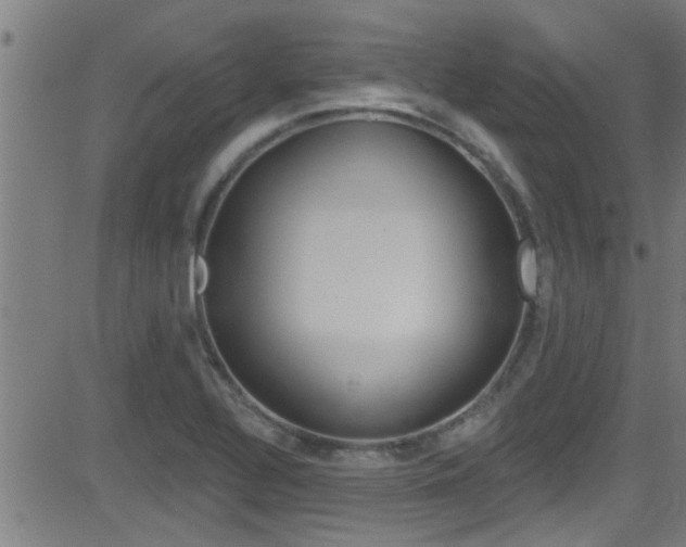 X0000081341320200701111018