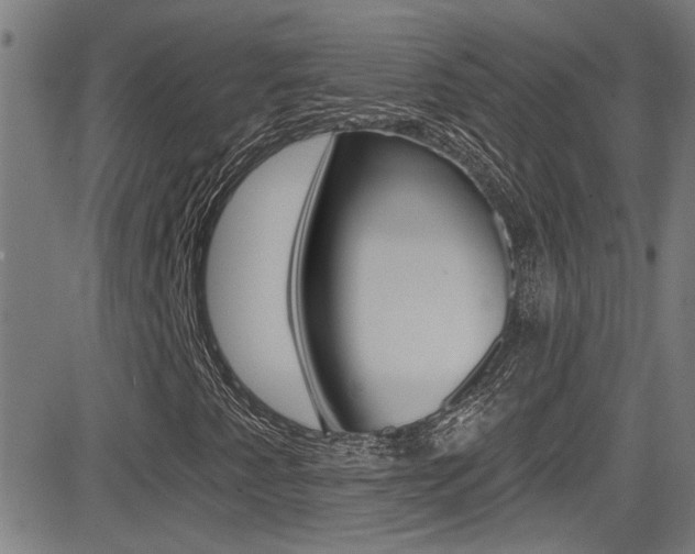 X0000081341345200701111018