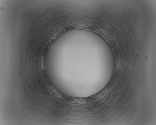 X0000081341346200701111018