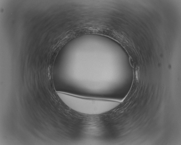 X0000081341347200701111018