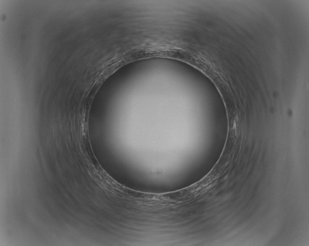 X0000081341348200701111018