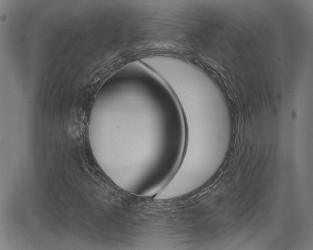X0000081341349200701111018
