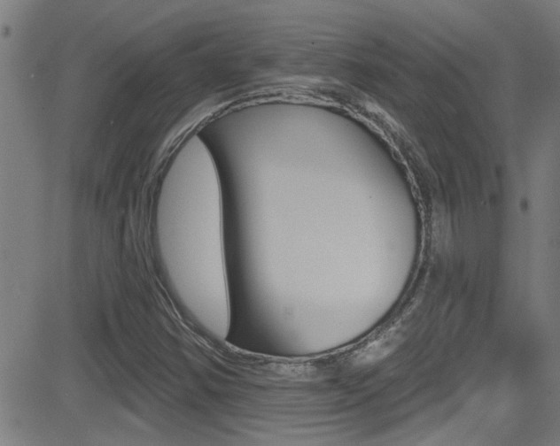 X0000081341354200701111018