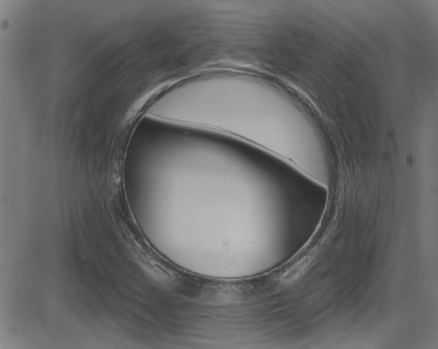 X0000081341355200701111018