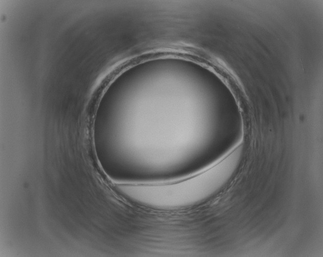X0000081341360200701111018