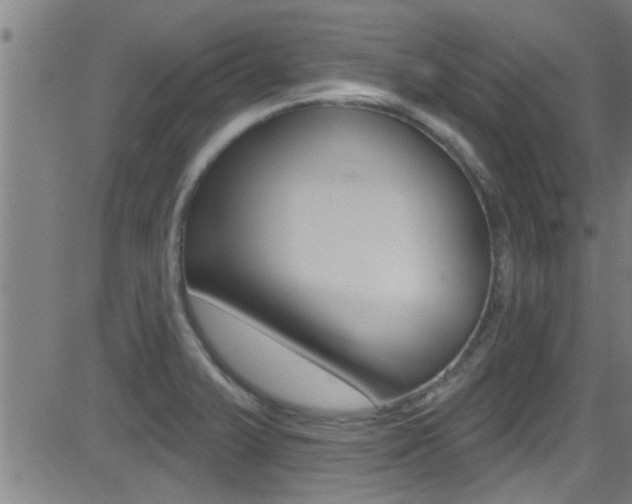 X0000081341375200701111017