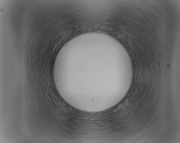X0000081341393200701111016