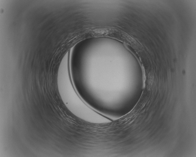 X0000081341394200701111016