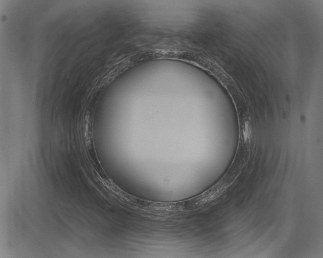 X0000081341396200701111016