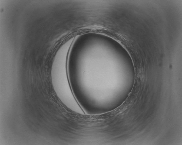 X0000081341398200701111016