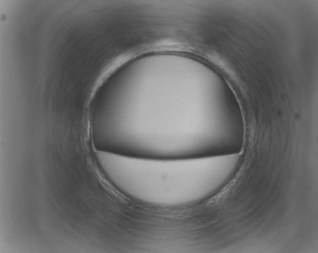 X0000081341413200701111017