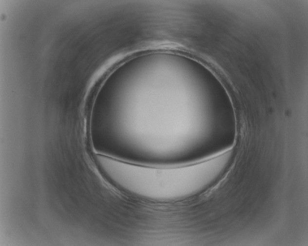 X0000081341414200701111017