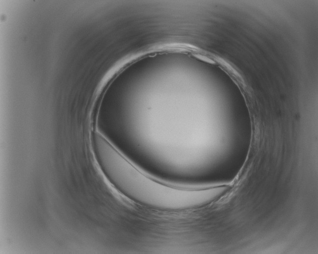 X0000081341430200701111017