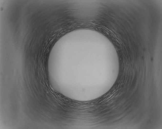 X0000081341441200701111016