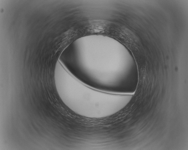 X0000081341442200701111016
