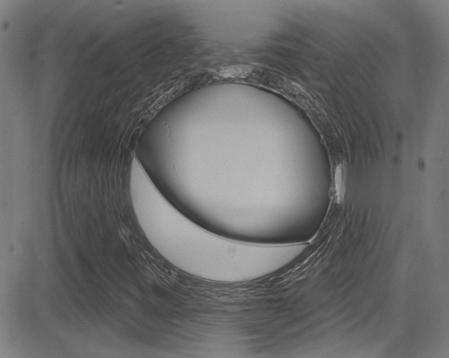 X0000081341443200701111016