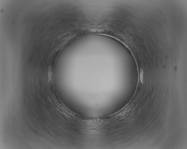 X0000081341444200701111016
