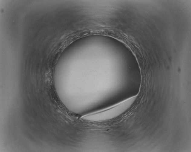 X0000081341445200701111016