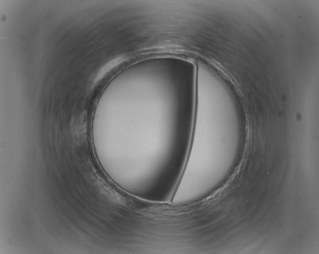 X0000081341450200701111016