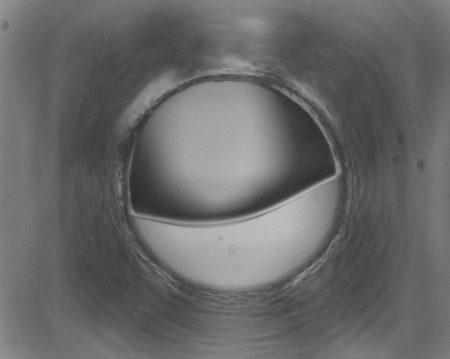 X0000081341455200701111016