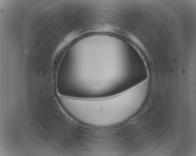 X0000081341456200701111016
