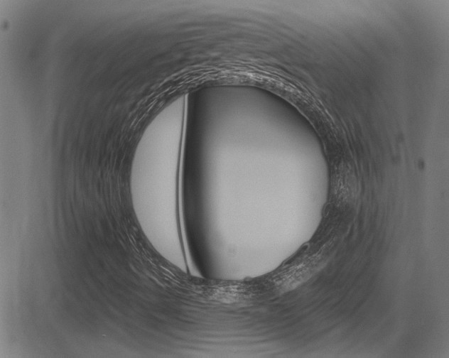 X0000081341490200701111015