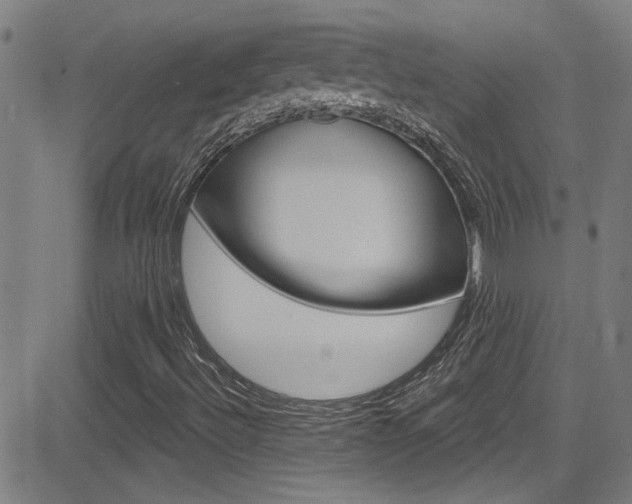 X0000081341492200701111015