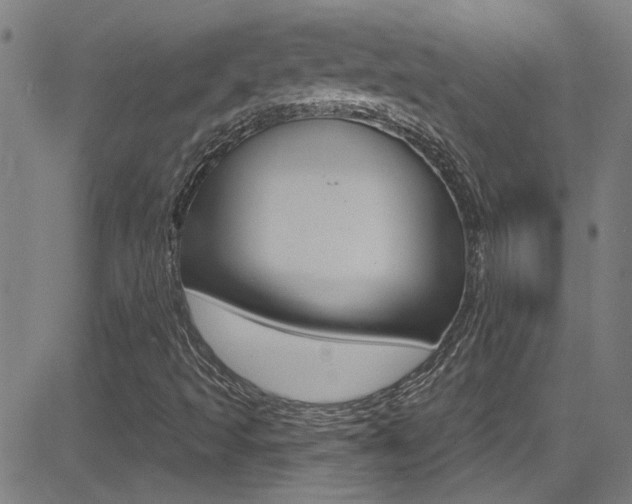 X0000081341493200701111015