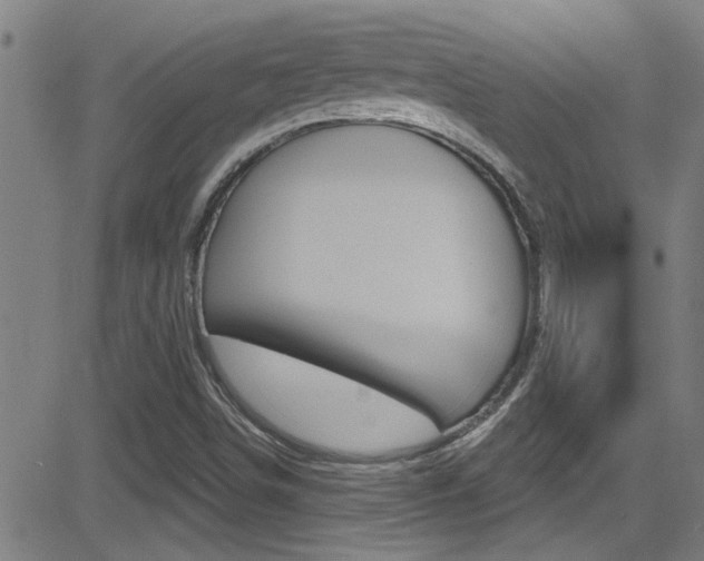 X0000081341498200701111015