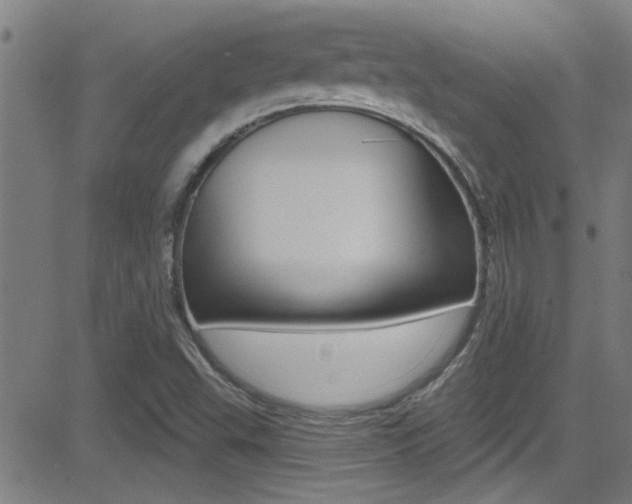 X0000081341503200701111015
