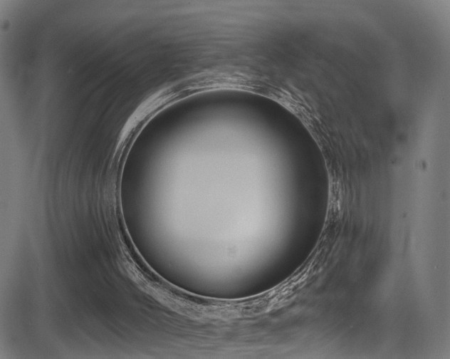 X0000081340004200701111436