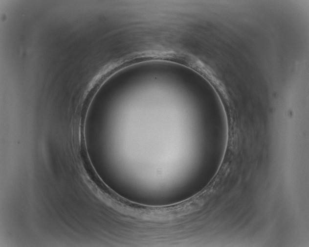 X0000081340011200701111436