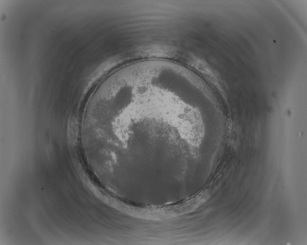 X0000081340012200701111436