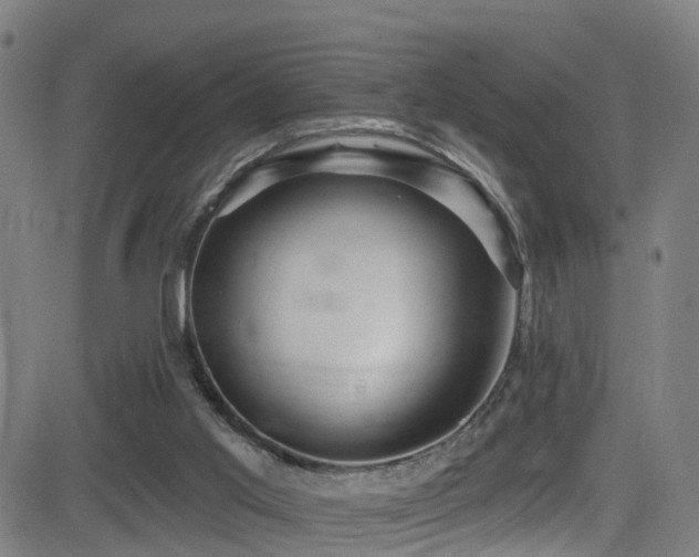 X0000081340013200701111436