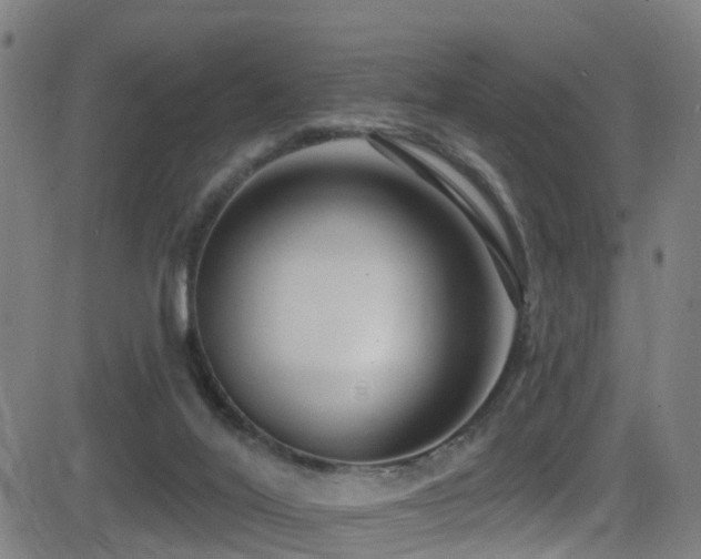 X0000081340020200701111436