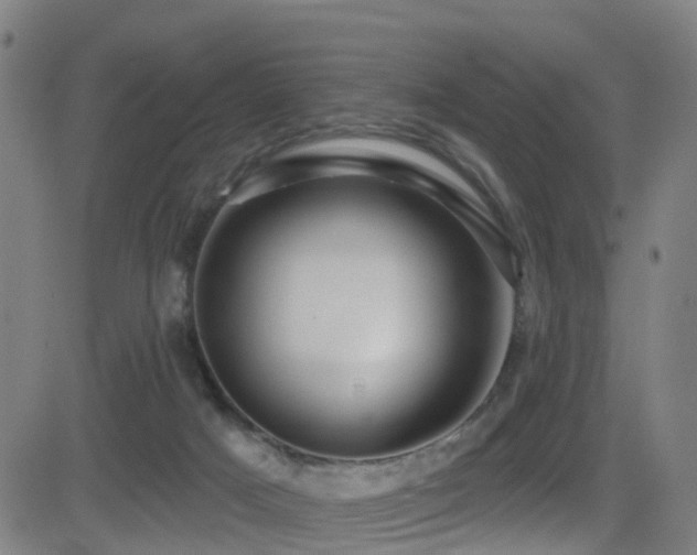 X0000081340025200701111436