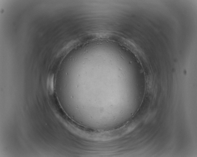 X0000081340028200701111435