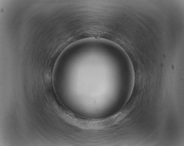 X0000081340040200701111435