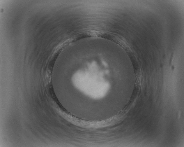 X0000081340043200701111435