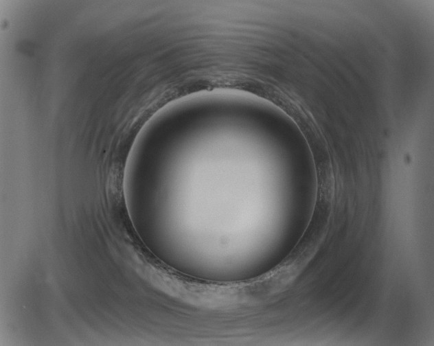 X0000081340044200701111435