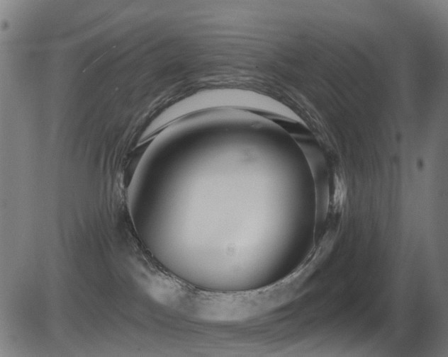 X0000081340045200701111435