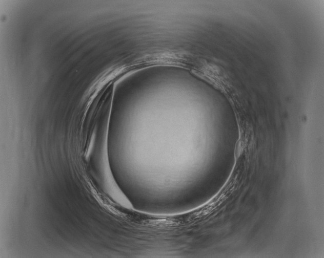 X0000081340050200701111434