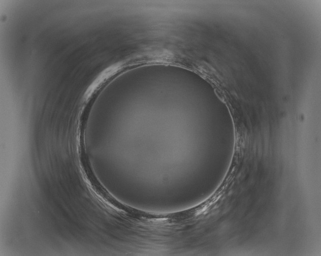 X0000081340054200701111434