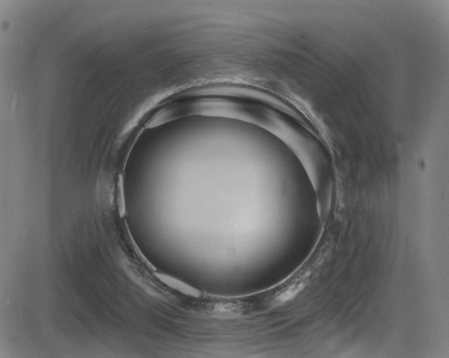 X0000081340060200701111435