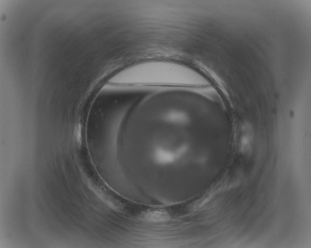 X0000081340067200701111435